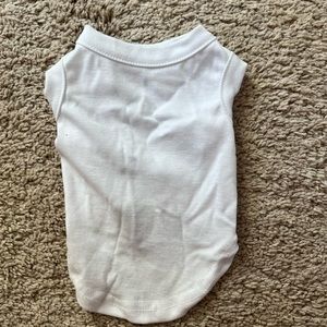 White shirt—toy breed/chihuahua